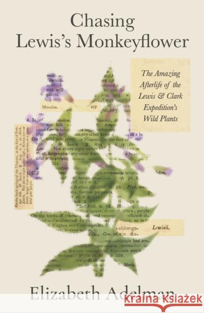 Chasing Lewis's Monkeyflower: The Amazing Afterlife of the Lewis and Clark Expedition's Wild Plants Elizabeth Adelman 9780374615024 Farrar, Straus and Giroux
