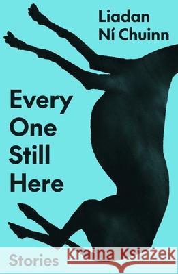 Every One Still Here: Stories Liadan N? Chuinn 9780374620028 Fsg Originals