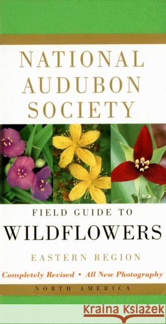National Audubon Society Field Guide to North American Wildflowers--E : Eastern Region - Revised Edition John W. Thieret William A. Niering Nancy C. Olmstead 9780375402326 Alfred A. Knopf