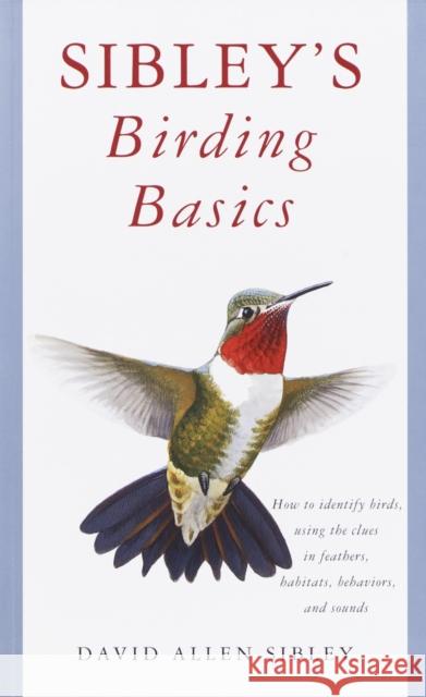 Sibley's Birding Basics David Allen Sibley 9780375709661 Alfred A. Knopf
