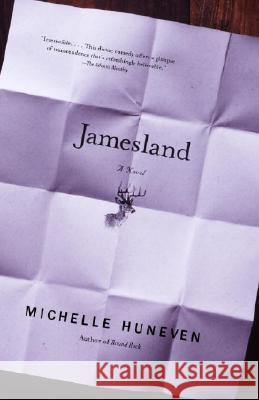 Jamesland Michelle Huneven 9780375713132 Vintage Books USA