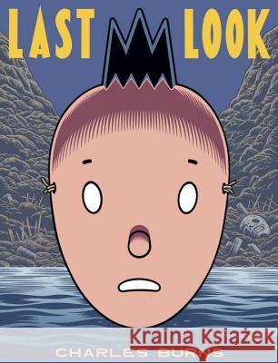 Last Look Charles Burns 9780375715174