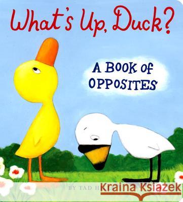 What's Up, Duck?: A Book of Opposites Hills, Tad 9780375847387 Schwartz & Wade Books