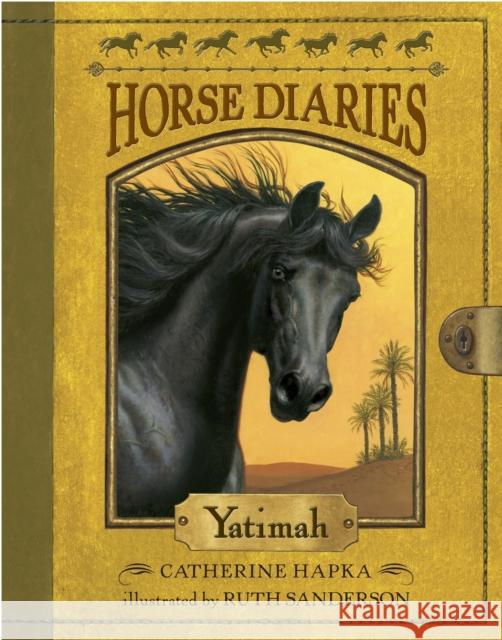 Horse Diaries #6: Yatimah Hapka, Catherine 9780375867194 Random House Books for Young Readers