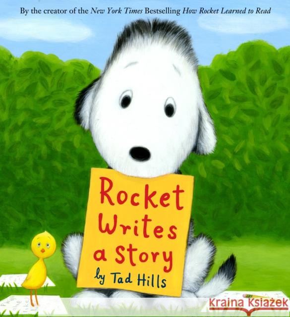 Rocket Writes a Story Tad Hills Tad Hills 9780375870866 Schwartz & Wade Books
