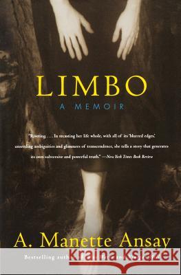 Limbo: A Memoir A. Manette Ansay 9780380732876 Harper Perennial