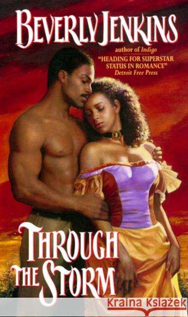 Through the Storm Beverly E. Jenkins 9780380798643 Avon Books