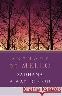 Sadhana, a Way to God: Christian Exercises in Eastern Form Anthony d 9780385196147