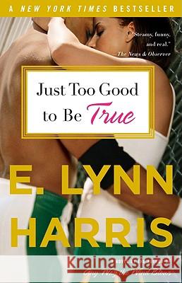 Just Too Good to Be True E. Lynn Harris 9780385492737