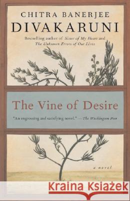 The Vine of Desire Chitra Banerjee Divakaruni 9780385497305 Anchor Books