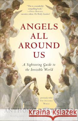 Angels All Around Us: A Sightseeing Guide to the Invisible World Anthony DeStefano 9780385522229 Image
