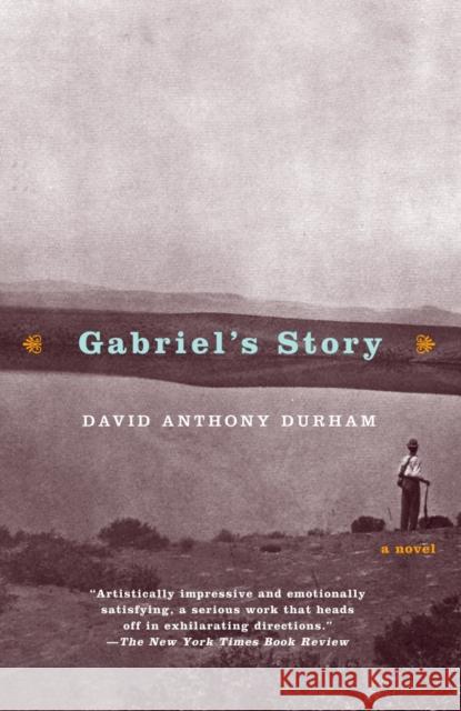 Gabriel's Story David Anthony Durham 9780385720335