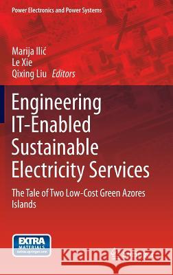 Engineering It-Enabled Sustainable Electricity Services: The Tale of Two Low-Cost Green Azores Islands ILIC, Marija 9780387097350 Springer