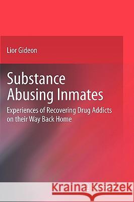 Substance Abusing Inmates: Experiences of Recovering Drug Addicts on Their Way Back Home Gideon, Lior 9780387098050