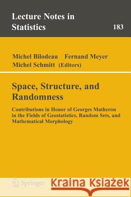 Space, Structure and Randomness: Contributions in Honor of Georges Matheron in the Fields of Geostatistics, Random Sets and Mathematical Morphology Bilodeau, Michel 9780387203317 Springer