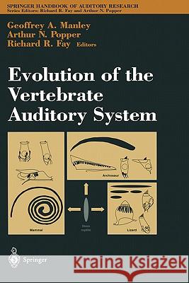Evolution of the Vertebrate Auditory System Richard R. Fay 9780387210933 0