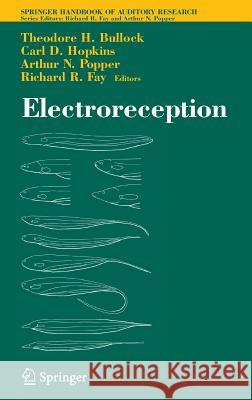 Electroreception Theodore H. Bullock Carl D. Hopkins Arthur N. Popper 9780387231921 Springer