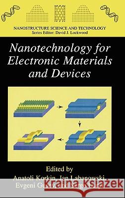 Nanotechnology for Electronic Materials and Devices Anatoli Korkin Evgeni Gusev Jan K. Labanowski 9780387233499 