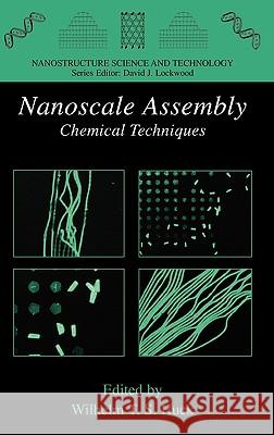 Nanoscale Assembly : Chemical Techniques Wilhelm T. S. Huck 9780387236087 Springer