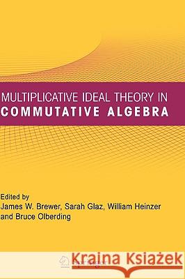 Multiplicative Ideal Theory in Commutative Algebra: A Tribute to the Work of Robert Gilmer Brewer, James W. 9780387246000 Springer