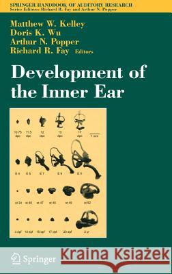 Development of the Inner Ear Matthew Kelley Doris Wu Arthur N. Popper 9780387250687 Springer