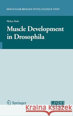 Muscle Development in Drosophilia Helen Sink 9780387300535 Landes Bioscience