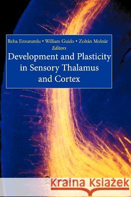 Development and Plasticity in Sensory Thalamus and Cortex Erzurumlu                                Reha Erzurumlu William Guido 9780387317984 Springer