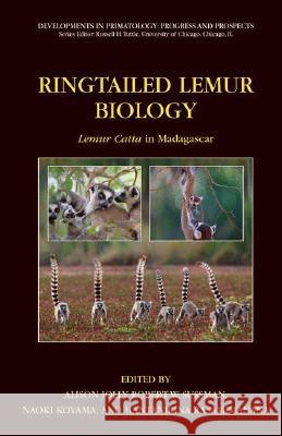 Ringtailed Lemur Biology: Lemur Catta in Madagascar Jolly, Alison 9780387326696 Springer