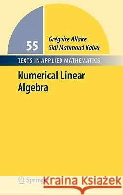 Numerical Linear Algebra Gregoire Allaire Sidi Mahmoud Kaber 9780387341590 Springer