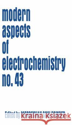 Modeling and Numerical Simulations I Schlesinger, Mordechay 9780387495804