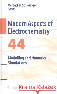 Modelling and Numerical Simulations II Mordechay Schlesinger 9780387495842