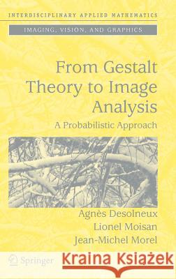 From Gestalt Theory to Image Analysis: A Probabilistic Approach Desolneux, Agnès 9780387726359 Springer