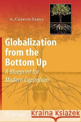 Globalization from the Bottom Up: A Blueprint for Modern Capitalism Samli, A. Coskun 9780387770970