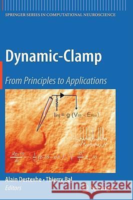 Dynamic-Clamp: From Principles to Applications Destexhe, Alain 9780387892788 Springer