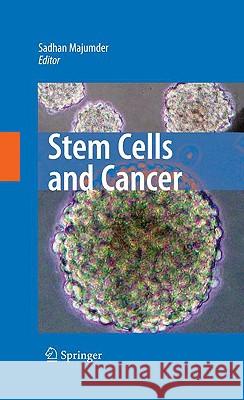 Stem Cells and Cancer Sadhan Majumder 9780387896106