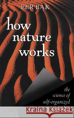 How Nature Works: The Science of Self-Organized Criticality Per Bak P. Bak 9780387947914 Copernicus Books