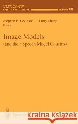 Image Models (and Their Speech Model Cousins) Levinson, Stephen 9780387948065 Springer