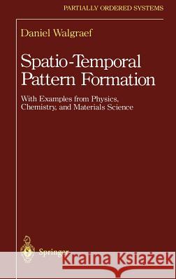 Spatio-Temporal Pattern Formation: With Examples from Physics, Chemistry, and Materials Science Walgraef, Daniel 9780387948577 Springer