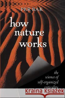 How Nature Works: The Science of Self-Organized Criticality Per Bak P. Bak 9780387987385 Copernicus Books