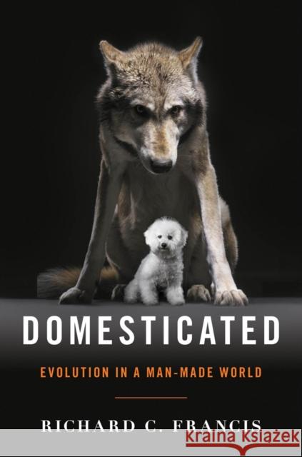 Domesticated: Evolution in a Man-Made World Francis, Richard C. 9780393064605 John Wiley & Sons