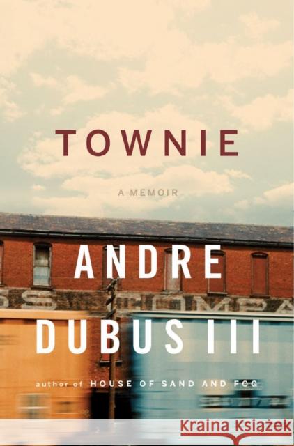 Townie: A Memoir Dubus, Andre 9780393064667
