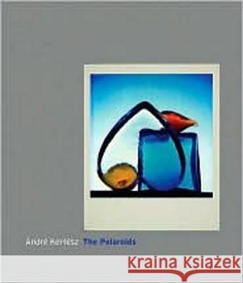 Andre Kertesz : The Polaroids Andre Kertesz Robert Gurbo 9780393065640 W. W. Norton & Company