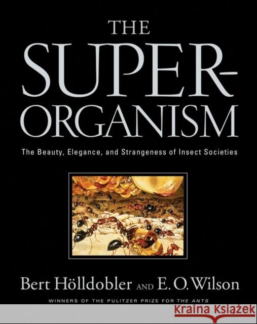 The Superorganism: The Beauty, Elegance, and Strangeness of Insect Societies Hölldobler, Bert 9780393067040 W. W. Norton & Company