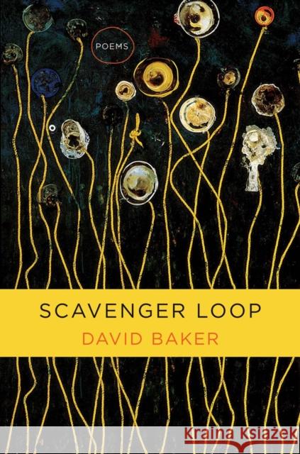 Scavenger Loop: Poems Baker, David 9780393246124 John Wiley & Sons