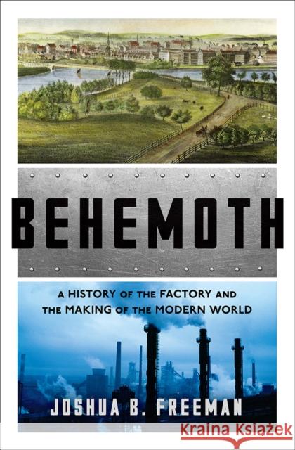 Behemoth: A History of the Factory and the Making of the Modern World Freeman, Joshua B. 9780393246315 