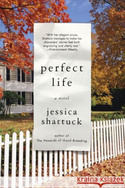 Perfect Life Jessica Shattuck 9780393304596 W. W. Norton & Company