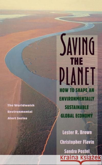 Saving the Planet: How to Shape an Environmentally Sustainable Global Economy Brown, Lester Russell 9780393308235