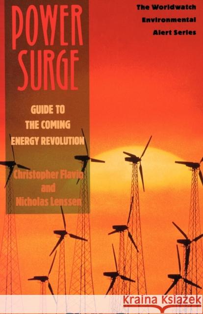 Power Surge: Guide to the Coming Energy Revolution Flavin, Christopher 9780393311990 W. W. Norton & Company