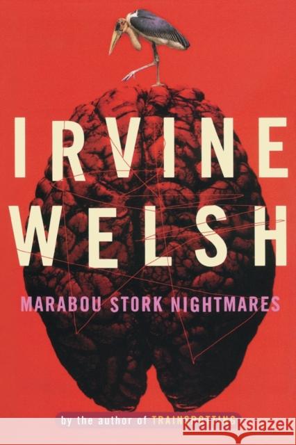 Marabou Stork Nightmares Irvine Welsh 9780393315639