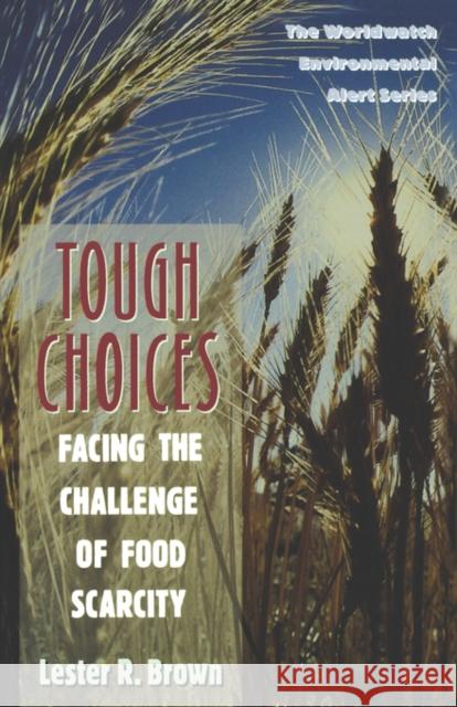 Tough Choices: Facing the Challenge of Food Scarcity Brown, Lester Russell 9780393315738